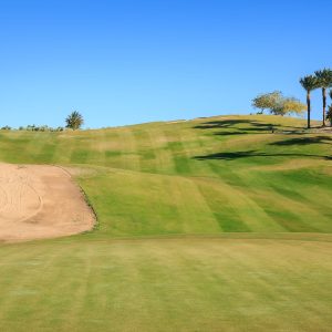 Tee Time 18 Holes